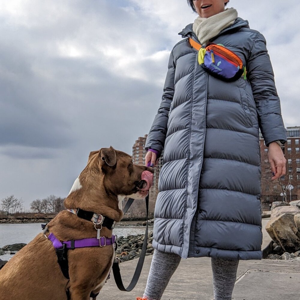 Patagonia W's Silent Down Long Parka, size L, blue-grey